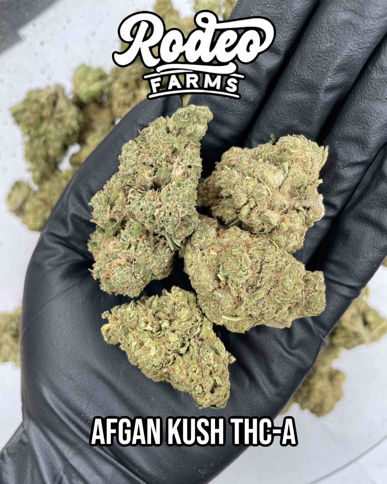 Afgan Kush THC-A – Image 1