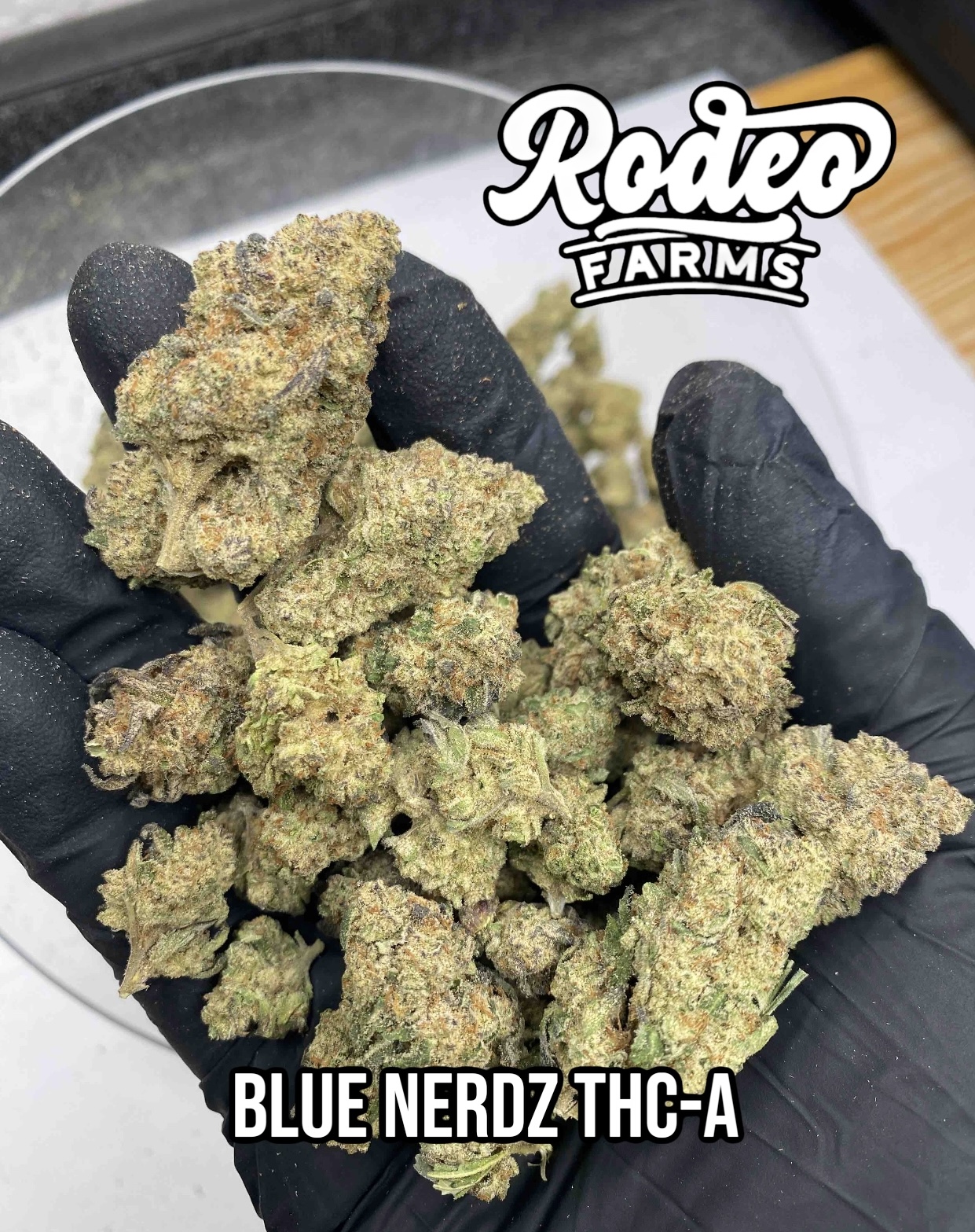 Blue Nerdz THC-A – Image 1