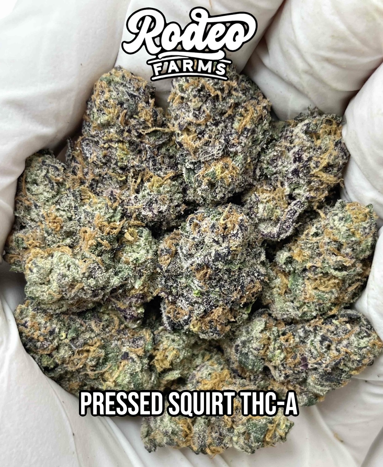 Pressed Squirt THC-A – Image 1