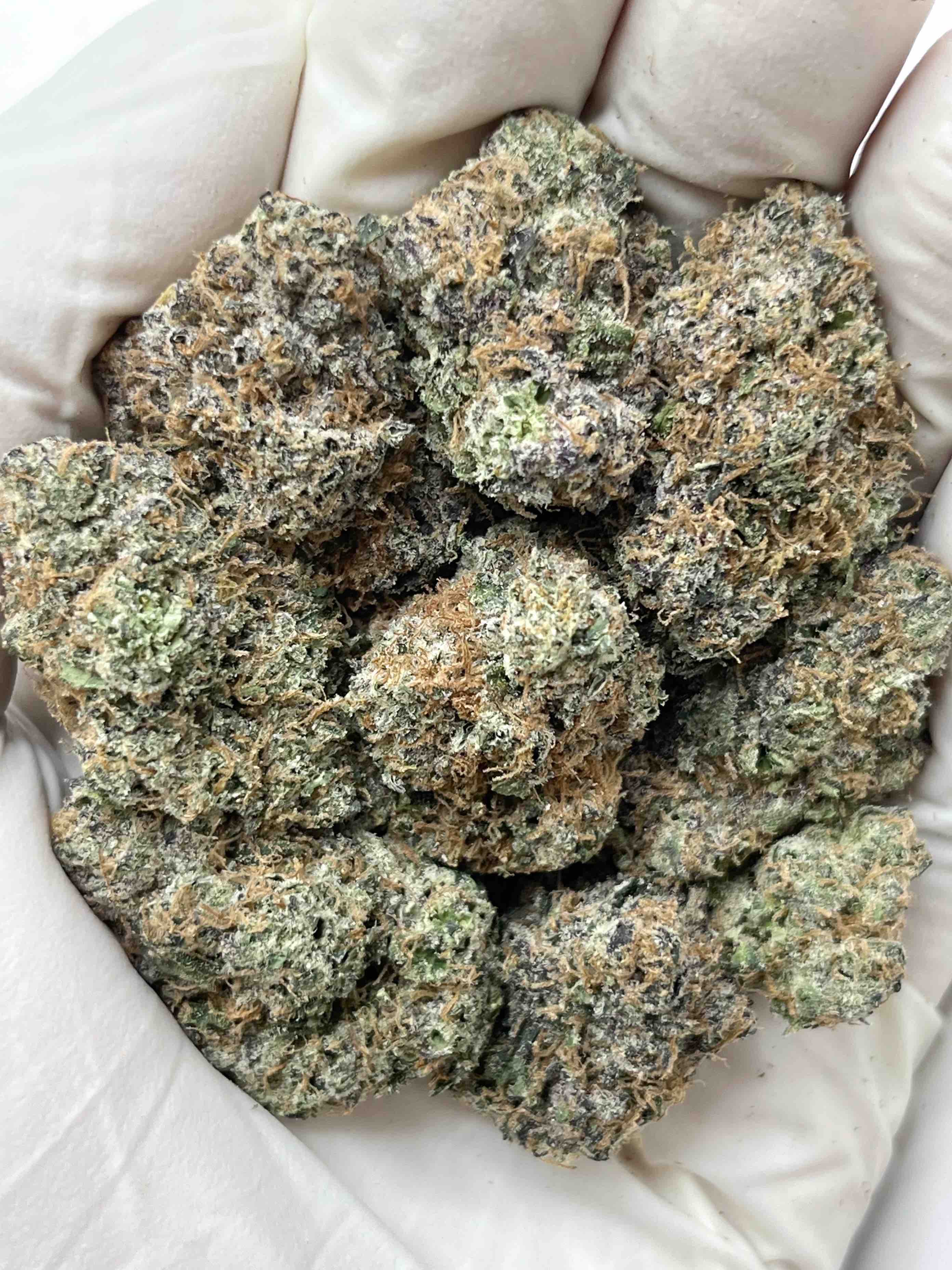 Black Cherry Runtz – Image 1