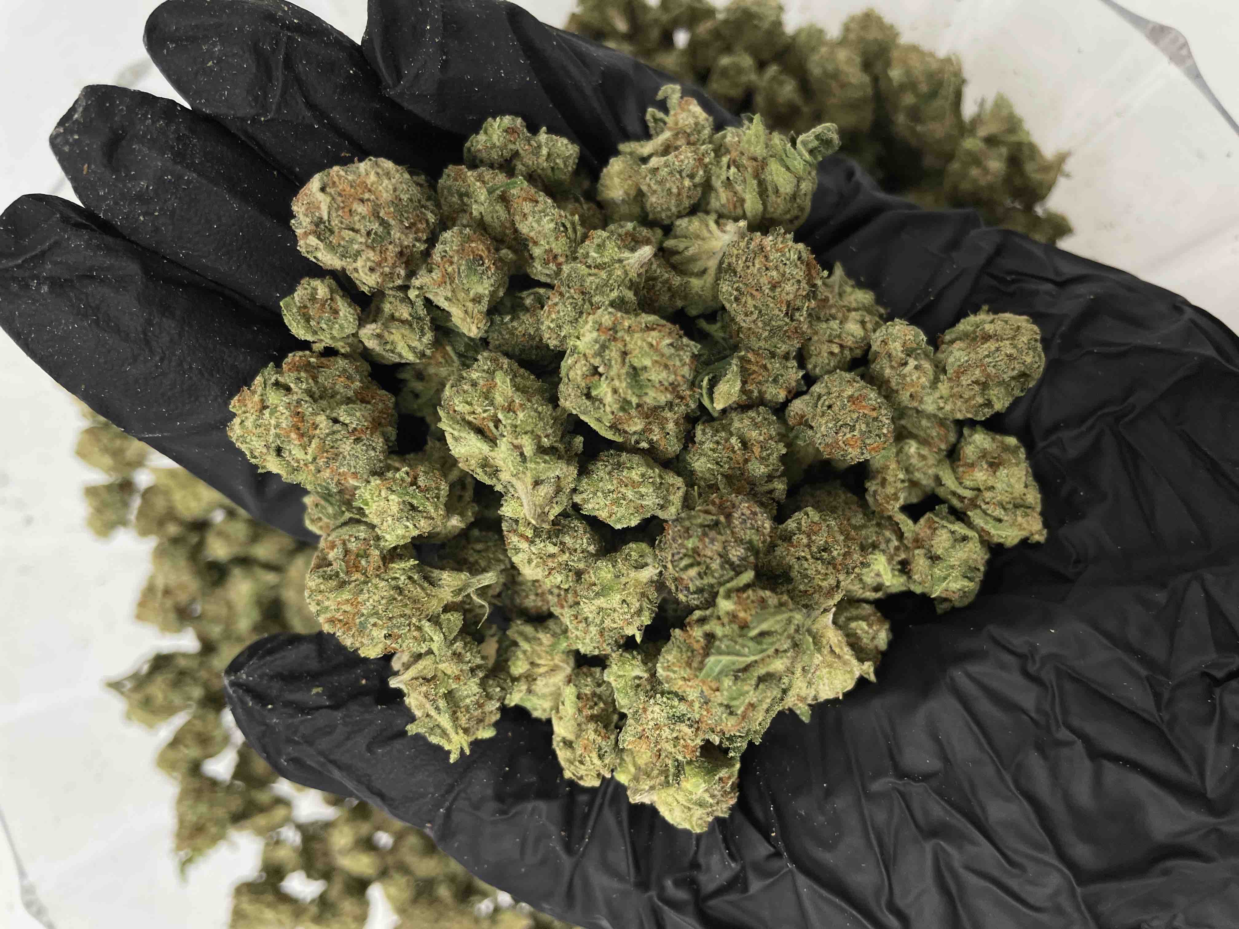 Pineapple Express – Image 1