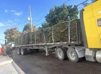 Delivery Add-On – Image 1