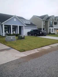 Fescue (500 sq ft) – Image 1