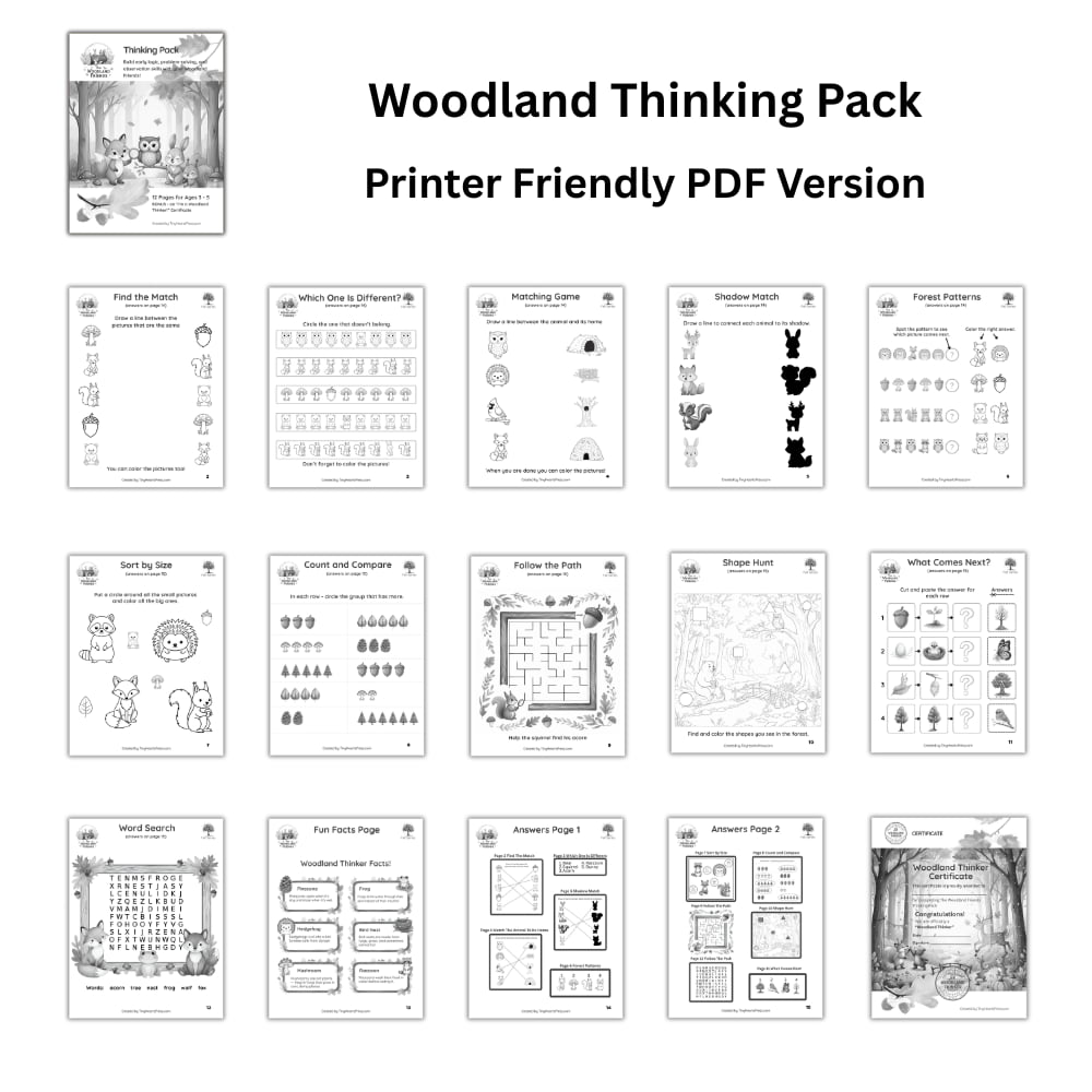 The Woodland Friends Thinking Pack – Image 3