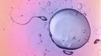 Inscription atelier fertilité 29 mars 2025 – Image 1
