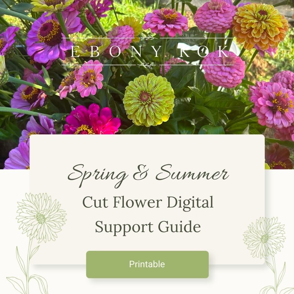 Spring & Summer Cut Flower Support Guide – Image 1