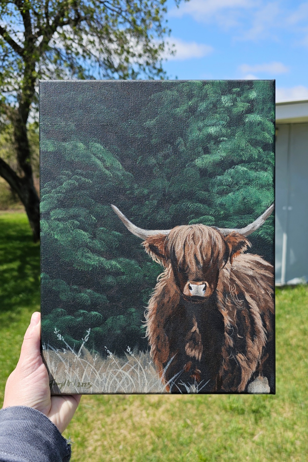 Highland Cow Acrylic Painting Tutorial – Image 2