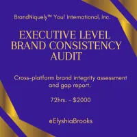 Brand Consistency Audit – Image 1