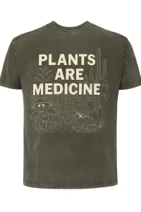 Green Wash Plants Are Medicine – Image 1