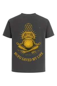 Grey Bufo Saved My Life – Image 1