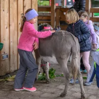 Hofladen - Special | 16. Oktober 2027 – Bild 11