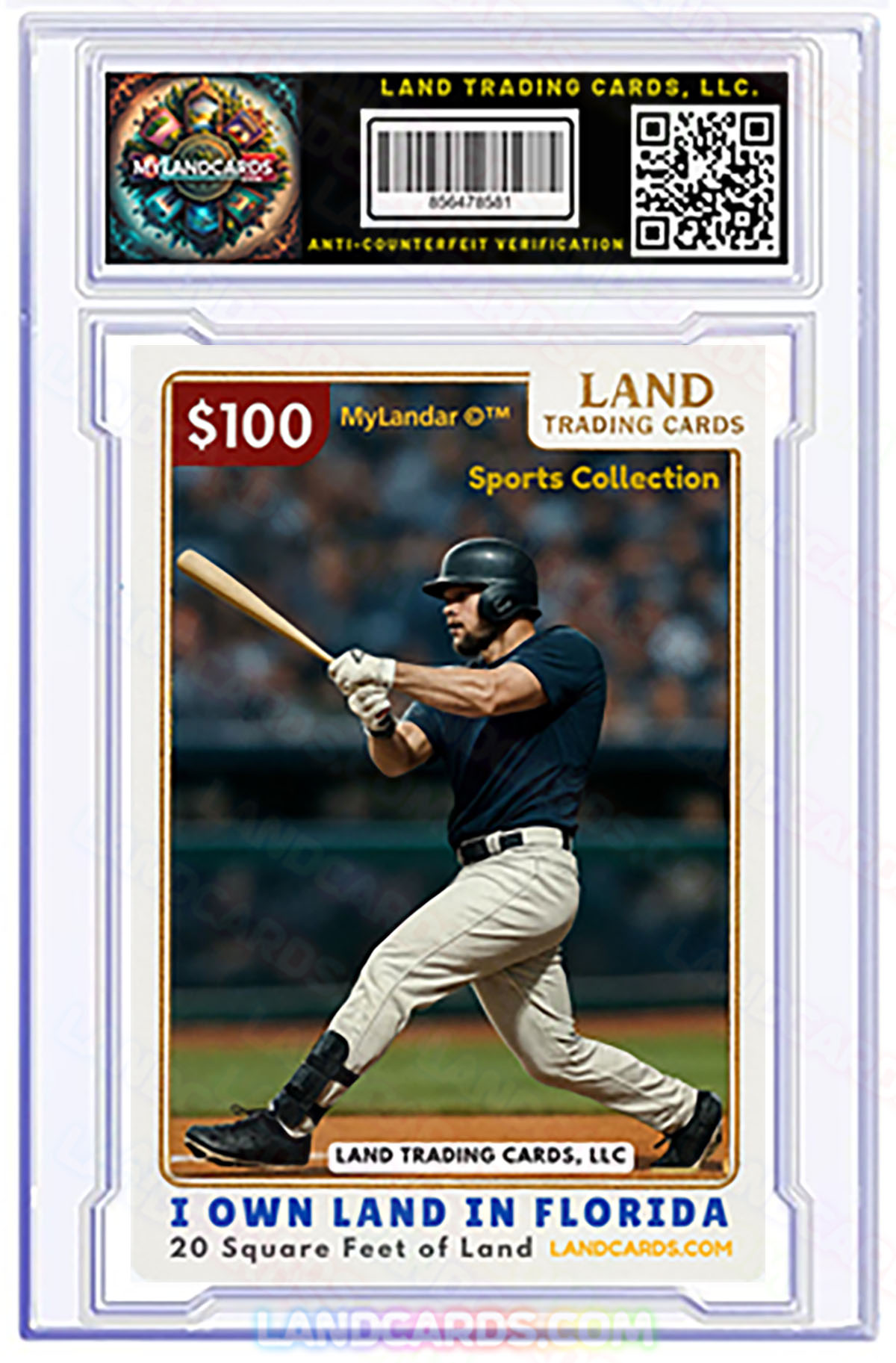 Sports Land Trading Cards - Florida 1 – Image 2