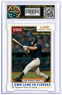 25 Square Feet - Land Cards – Image 1