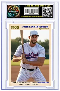 Sports Land Trading Cards - Florida 3 – Image 1