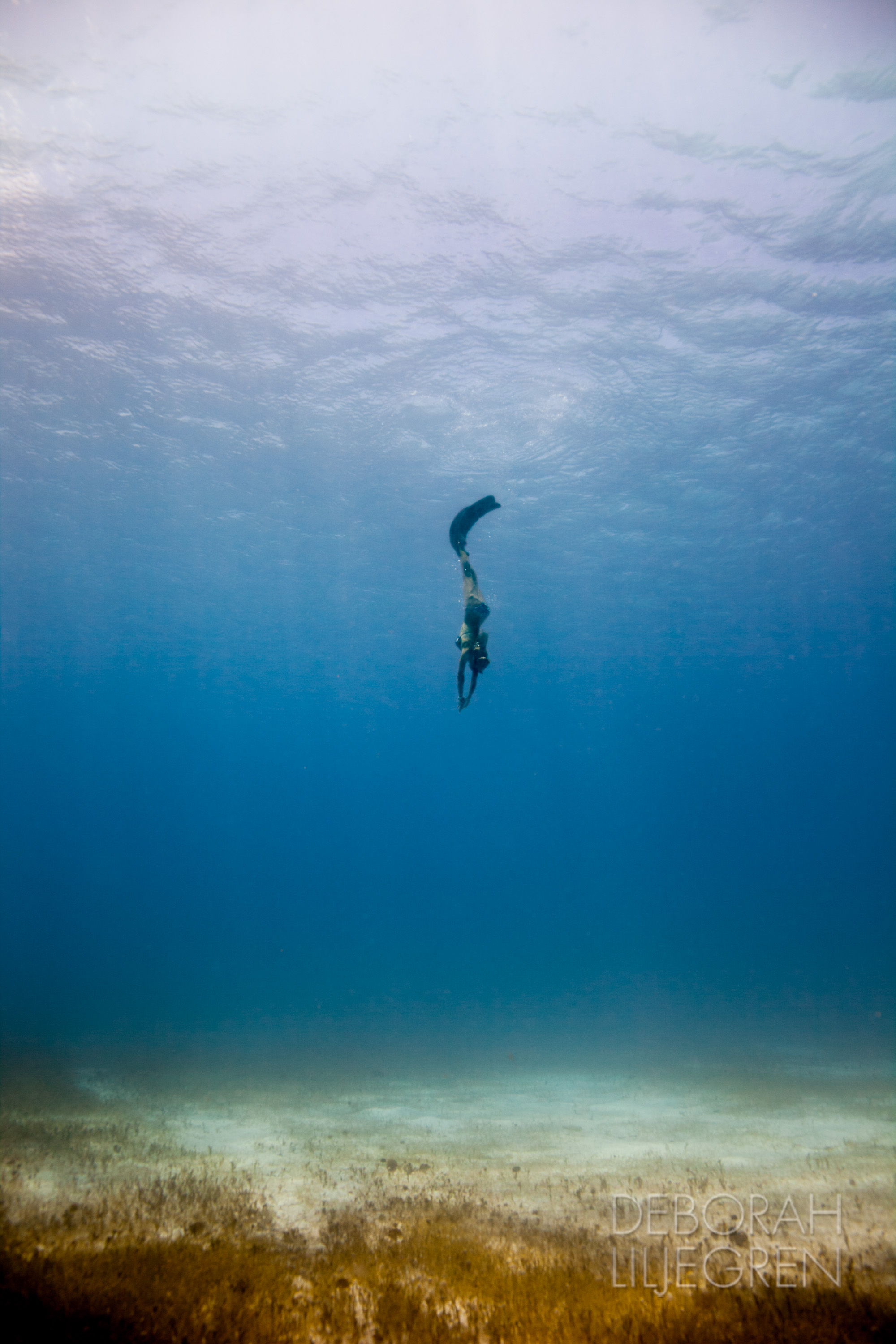 Lolo Descending – Image 2