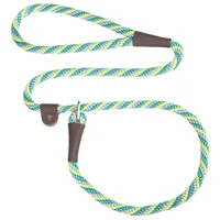 Mendota British Style Slip Lead - 6 ft x 3/8 in – Seafoam