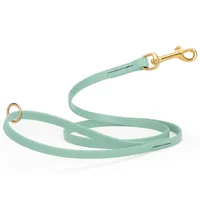 Viper Biothane Leash - 6 ft x 1/2 in – Sage Green