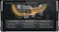 Forte Automatic Transmission Treatment – Image 5