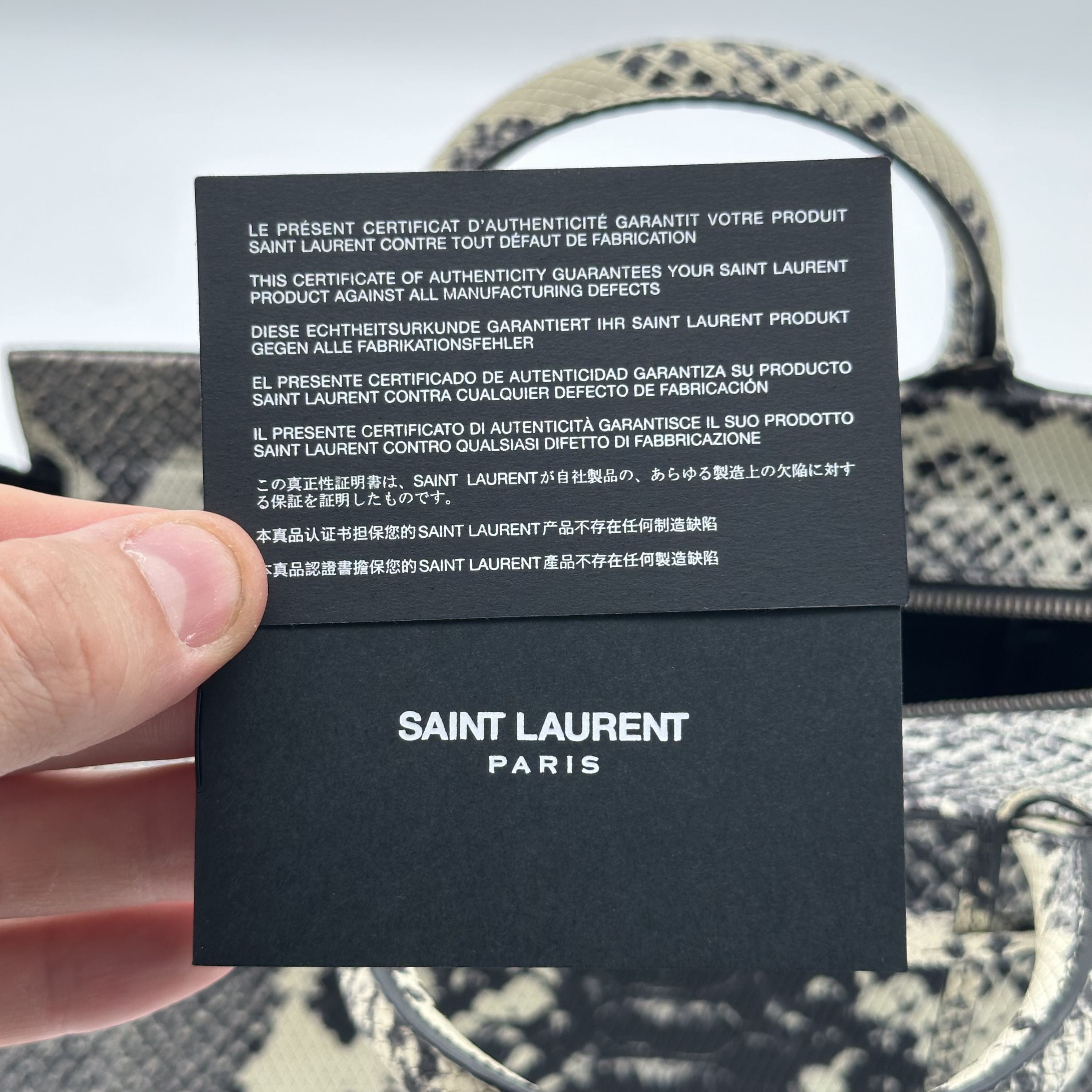 Saint Laurent Cabas – Image 10