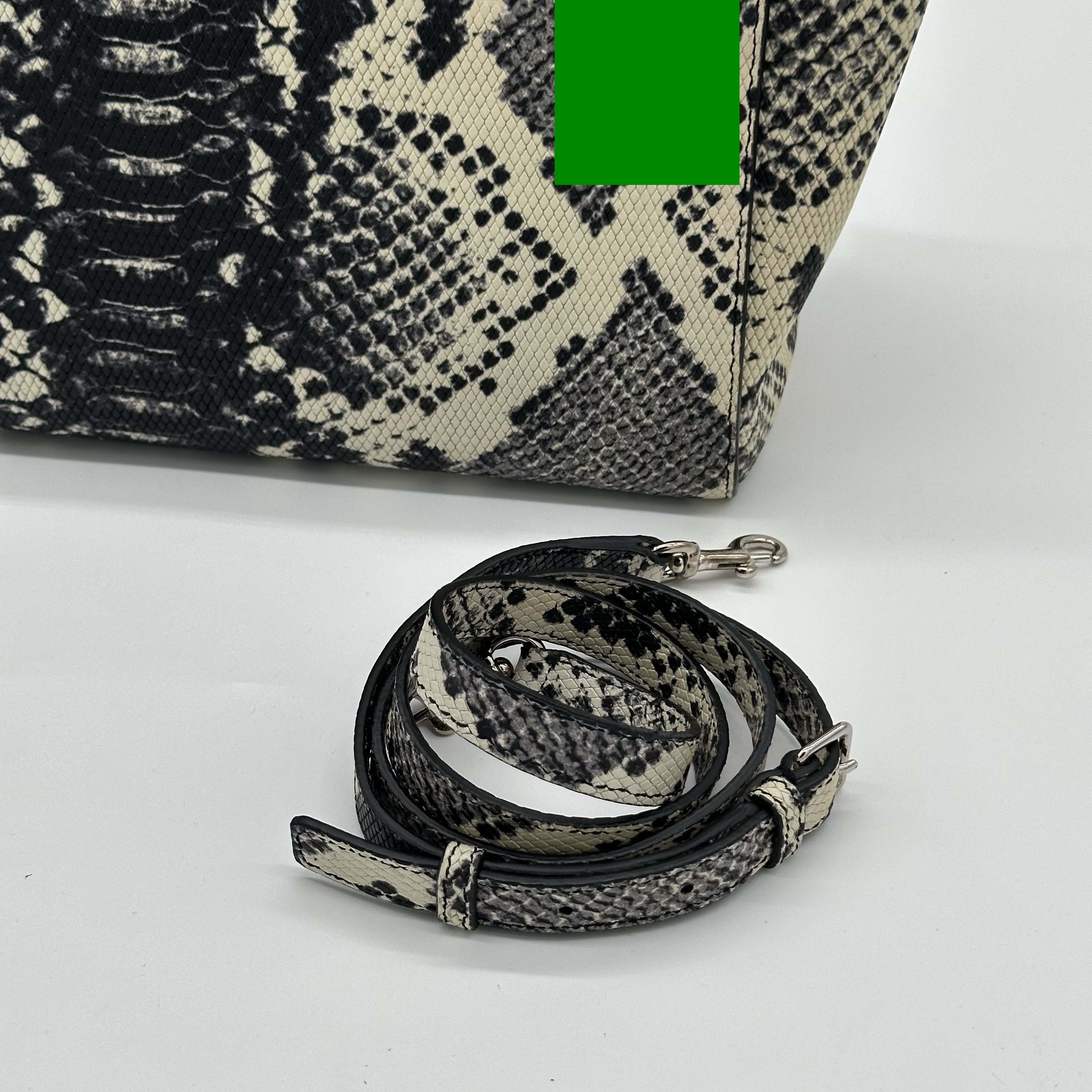 Saint Laurent Cabas – Image 17