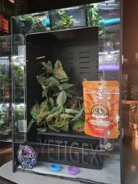 Food & Essentials Kit – Image 1