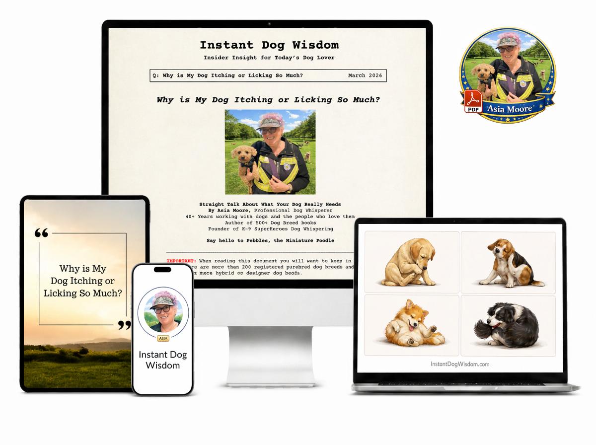 Why is My Dog Itching or Licking So Much? - PDF Version – Image 2