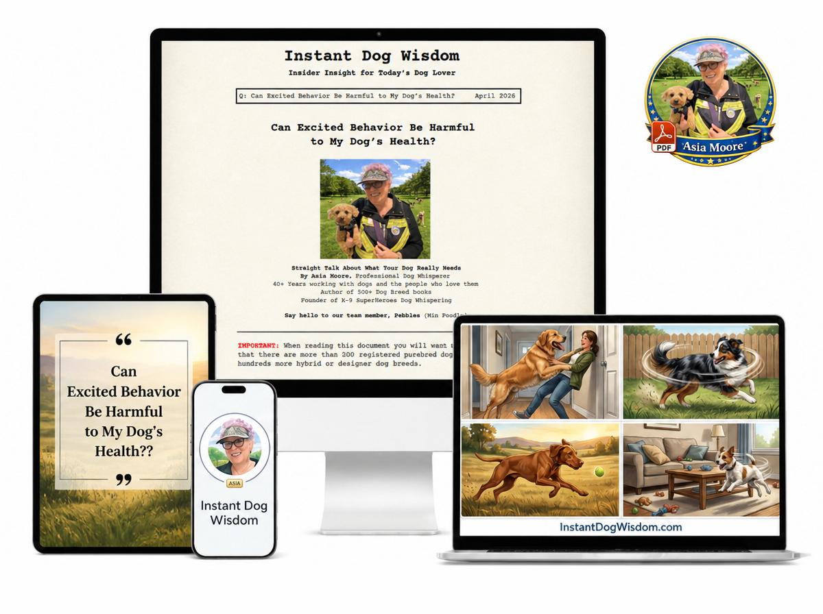 Can Excited Behavior Be Harmful to My Dog’s Health? - PDF Version – Image 2
