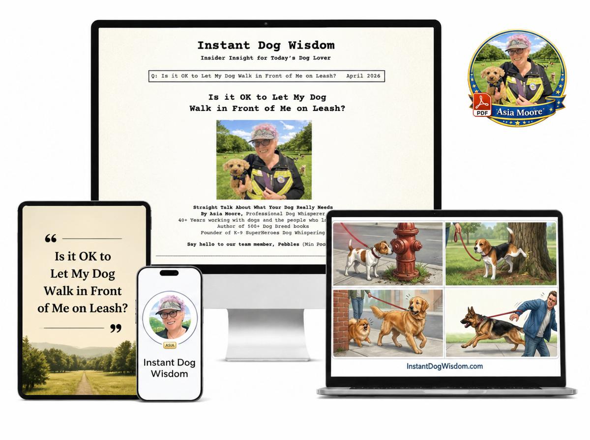 Is it OK to Let My Dog Walk in Front of Me on Leash? - PDF Version – Image 2