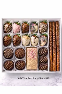Nola Treat Boxes (Large Box) – Image 8
