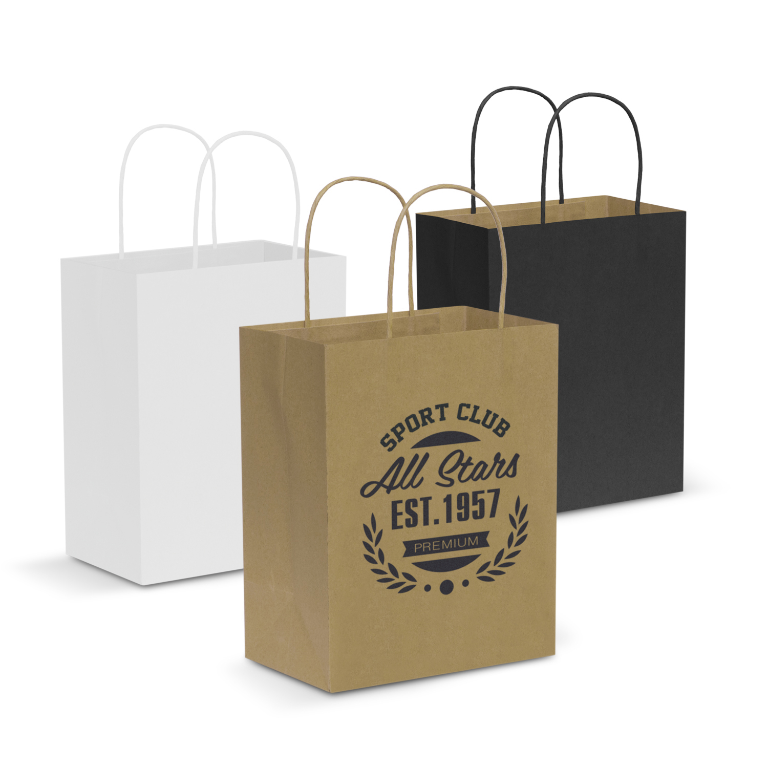 Paper Carry Bag - Medium – Image 2