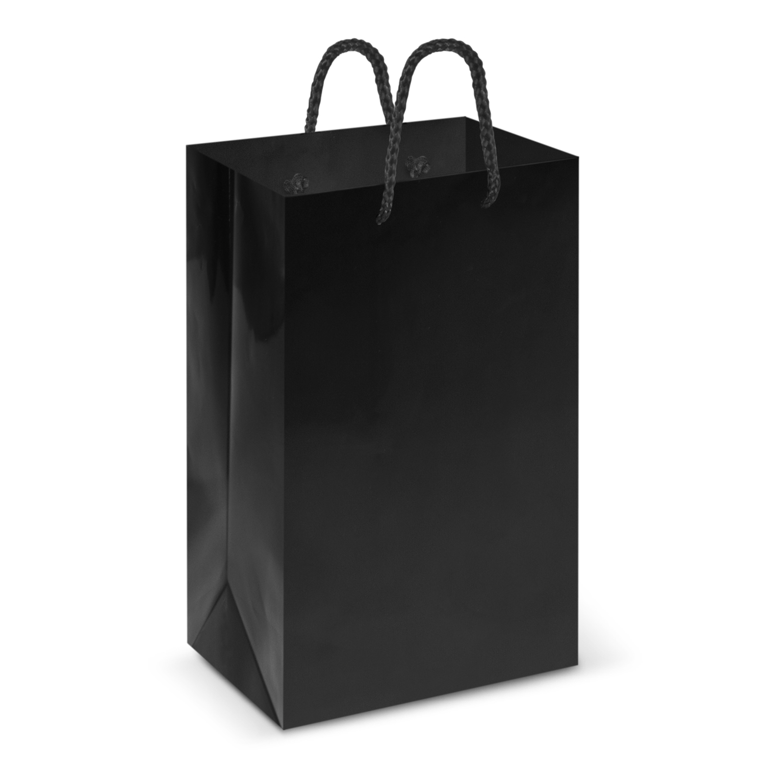 Laminated Carry Bag - Small – Image 3