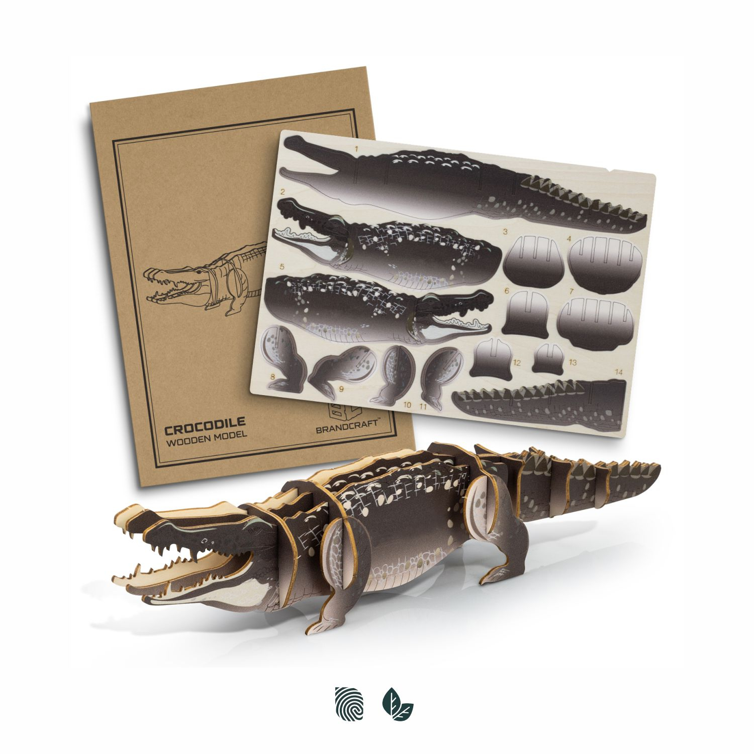 BRANDCRAFT Crocodile Wooden Model – Image 1