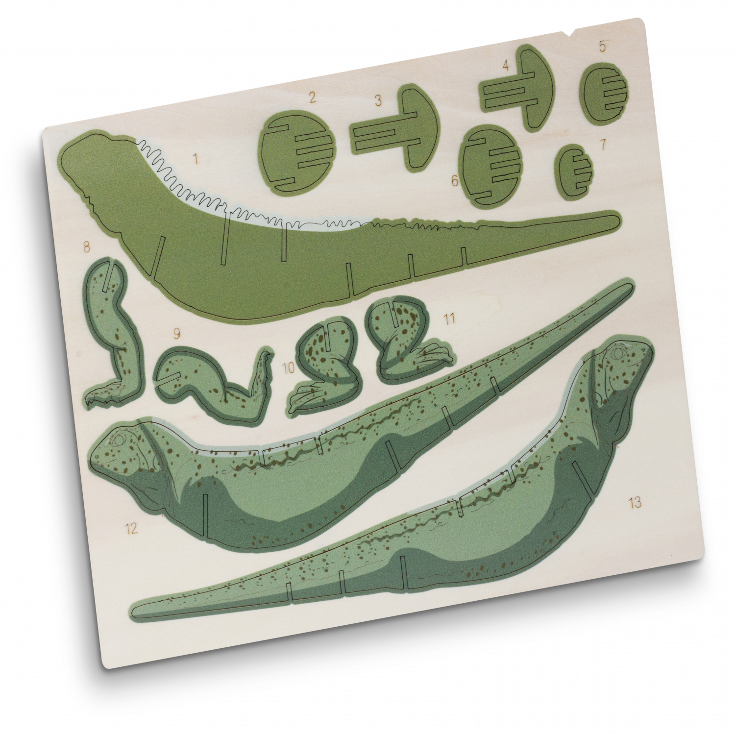 BRANDCRAFT Tuatara Wooden Model – Image 3