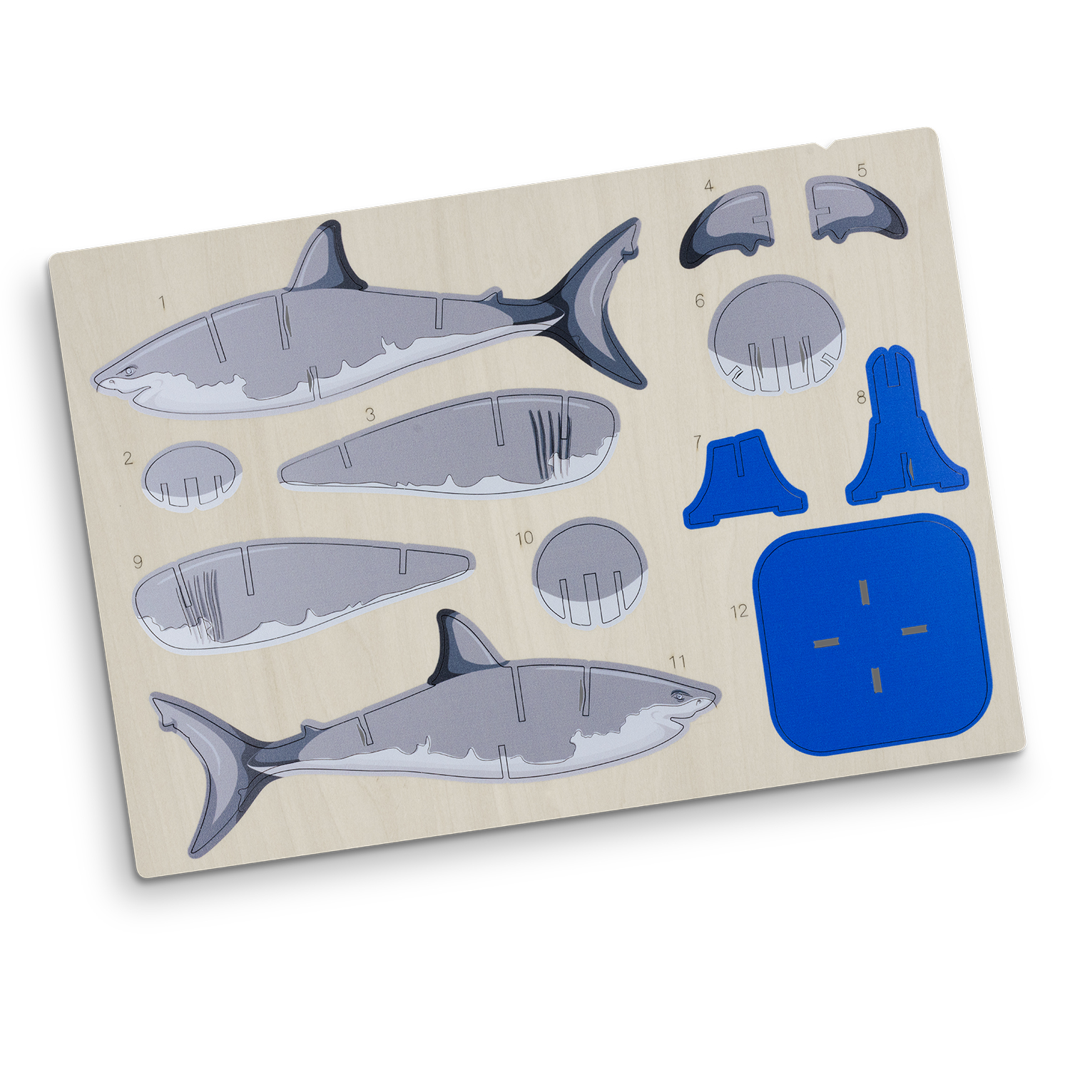 BRANDCRAFT Shark Wooden Model – Image 6