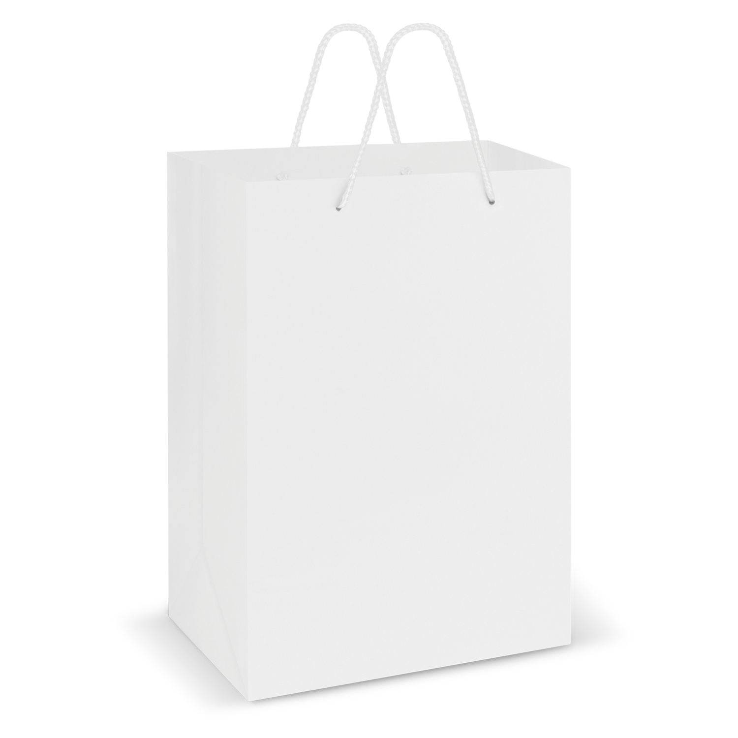 Laminated Carry Bag - Large – Image 2