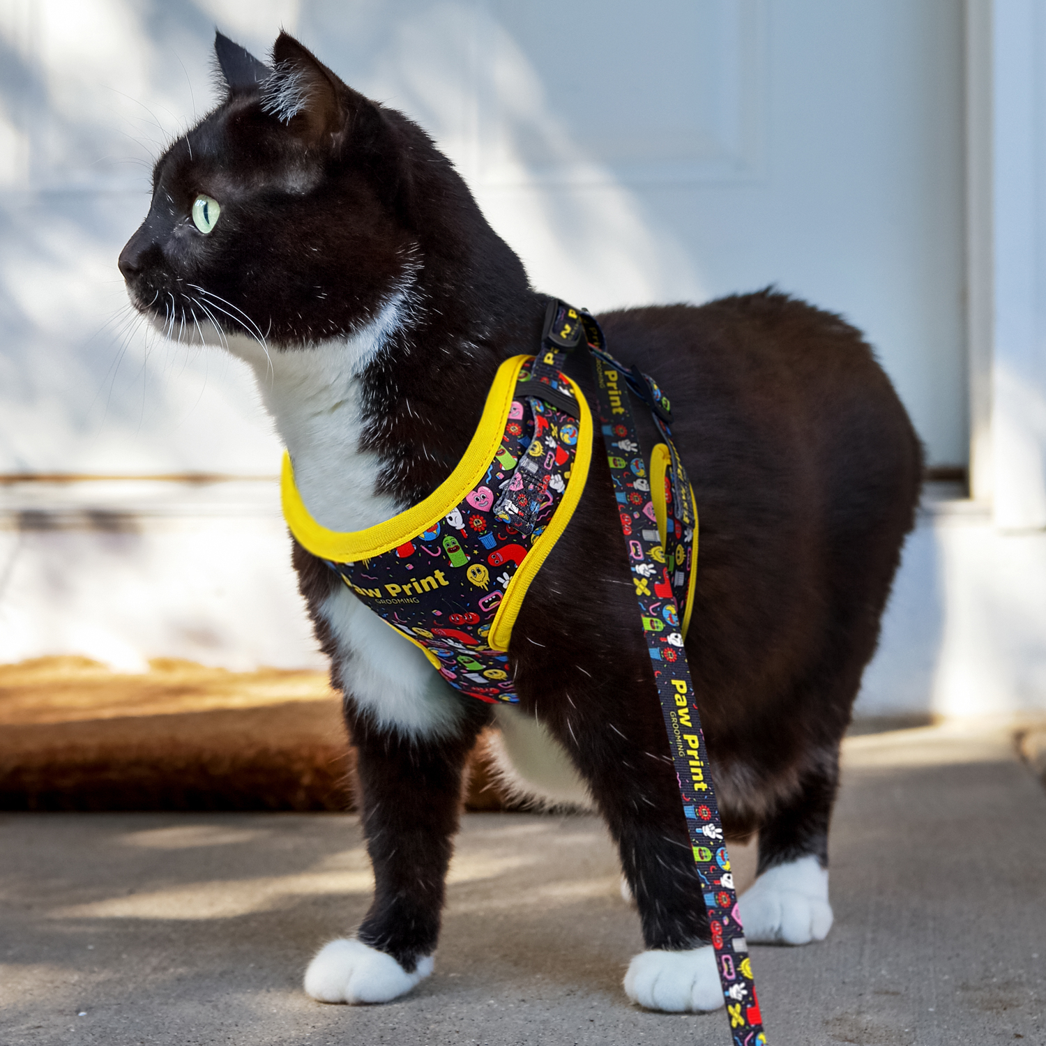 Amigo Pet Harness – Image 7