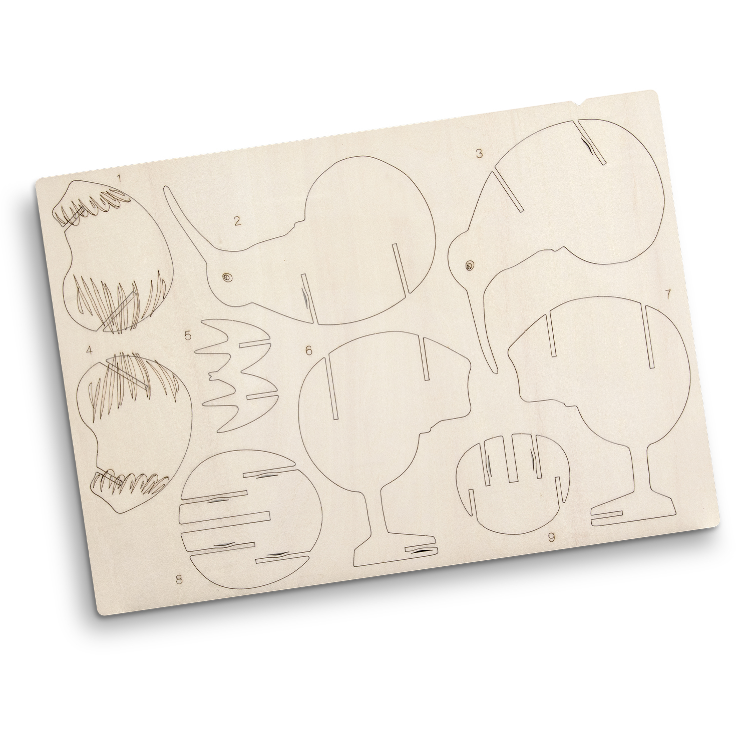 BRANDCRAFT Kiwi Wooden Model – Image 4