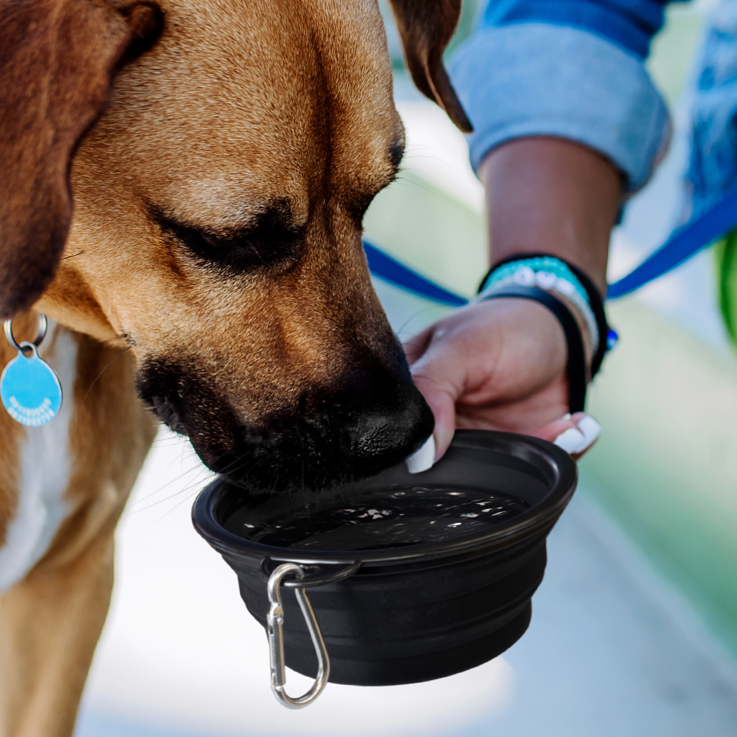 Silicone Collapsible Pet Bowl – Image 8