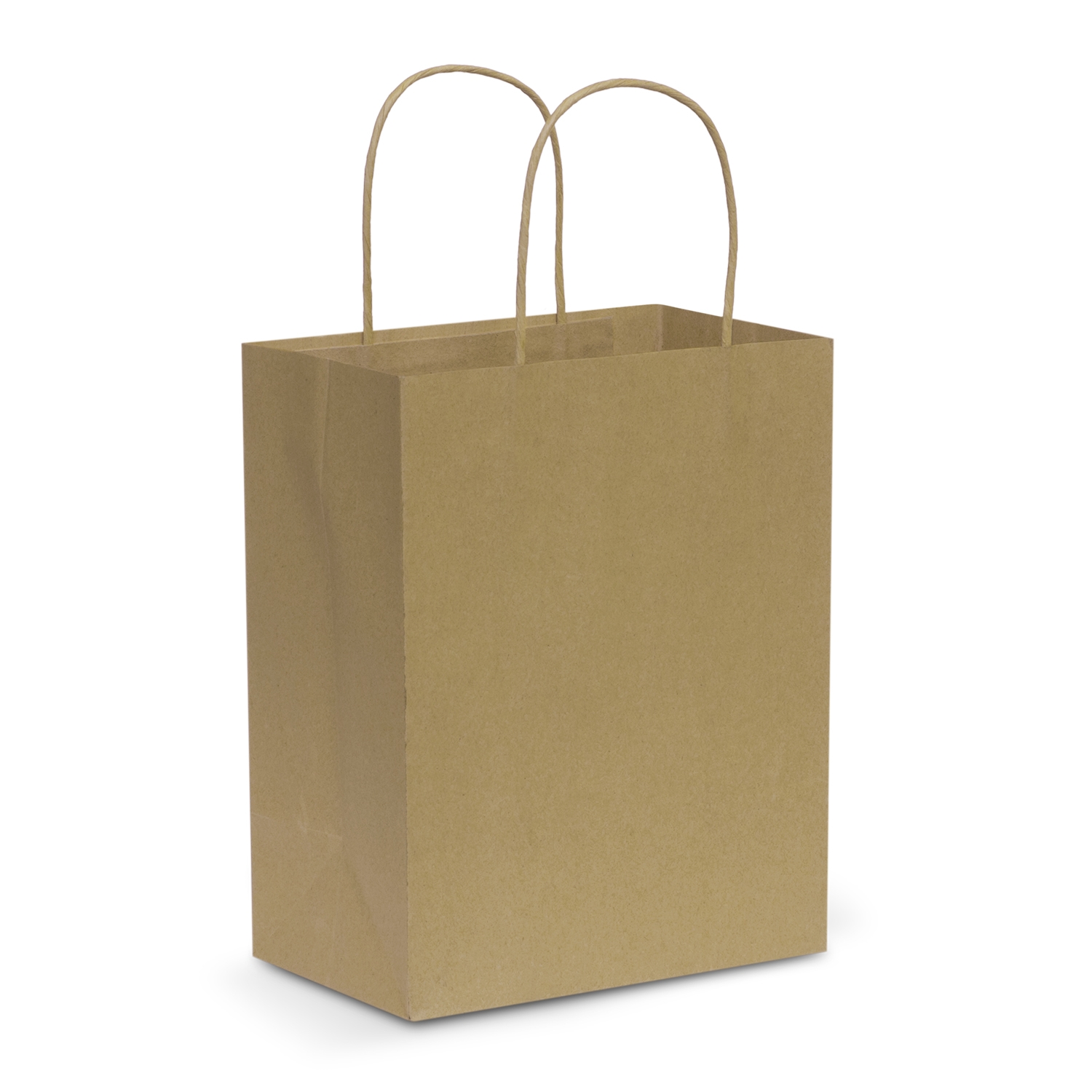 Paper Carry Bag - Medium – Image 3