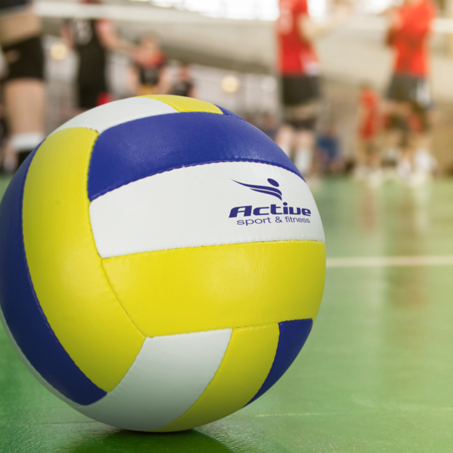 Volleyball Pro – Image 3