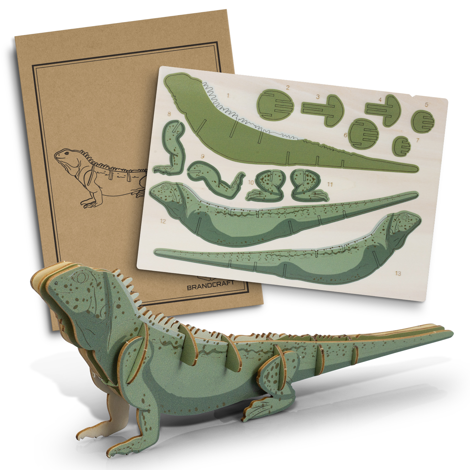 BRANDCRAFT Tuatara Wooden Model – Image 2