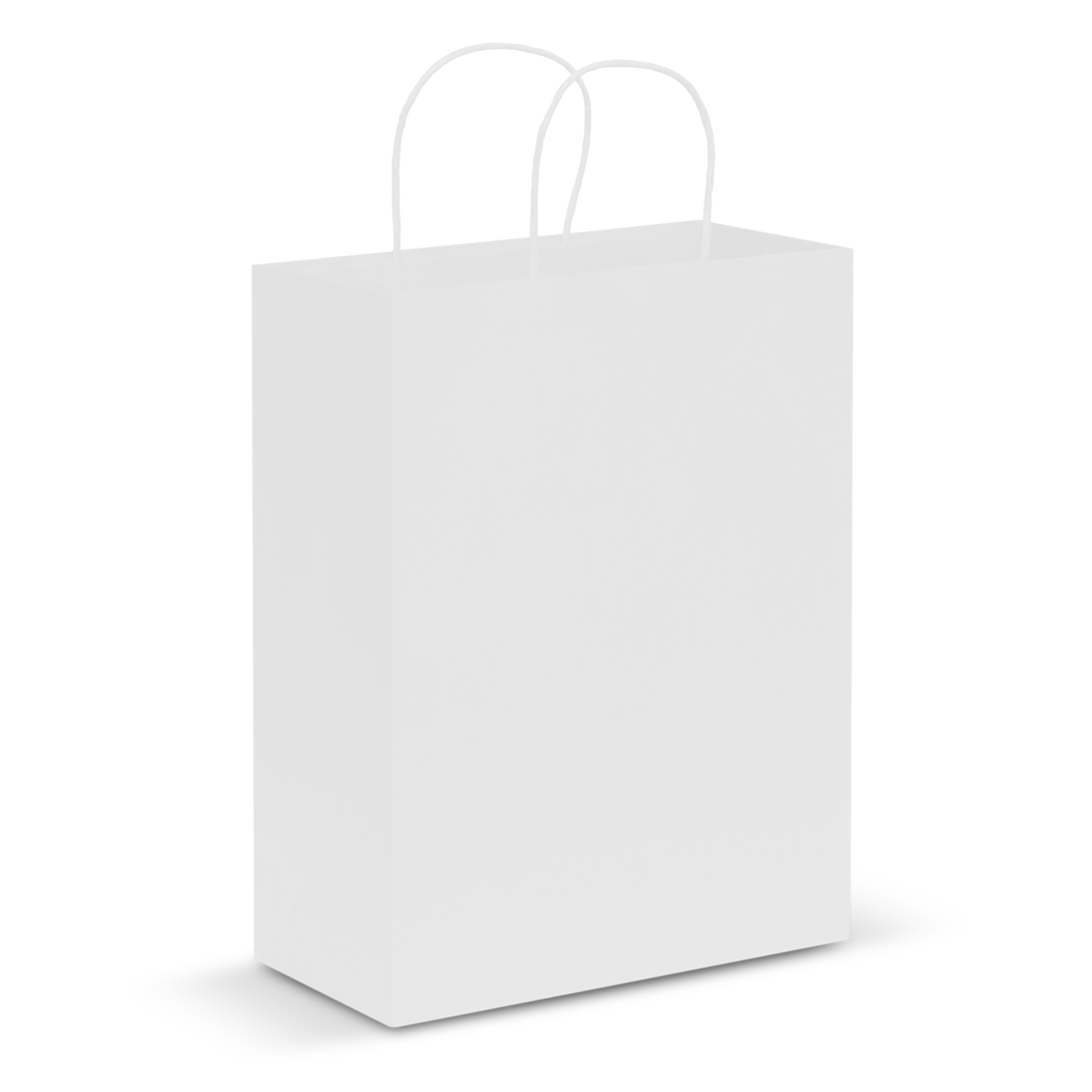 Paper Carry Bag - Large – Image 4