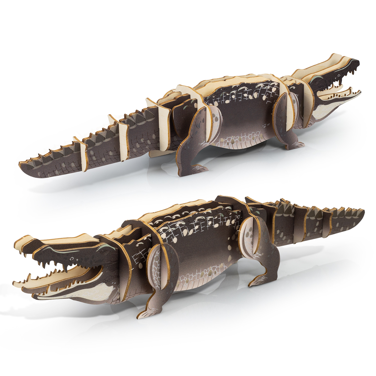BRANDCRAFT Crocodile Wooden Model – Image 5