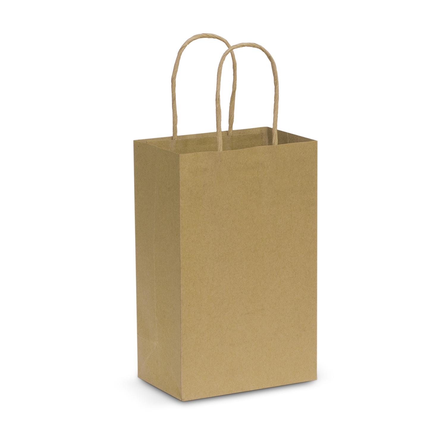 Paper Carry Bag - Small – Image 3