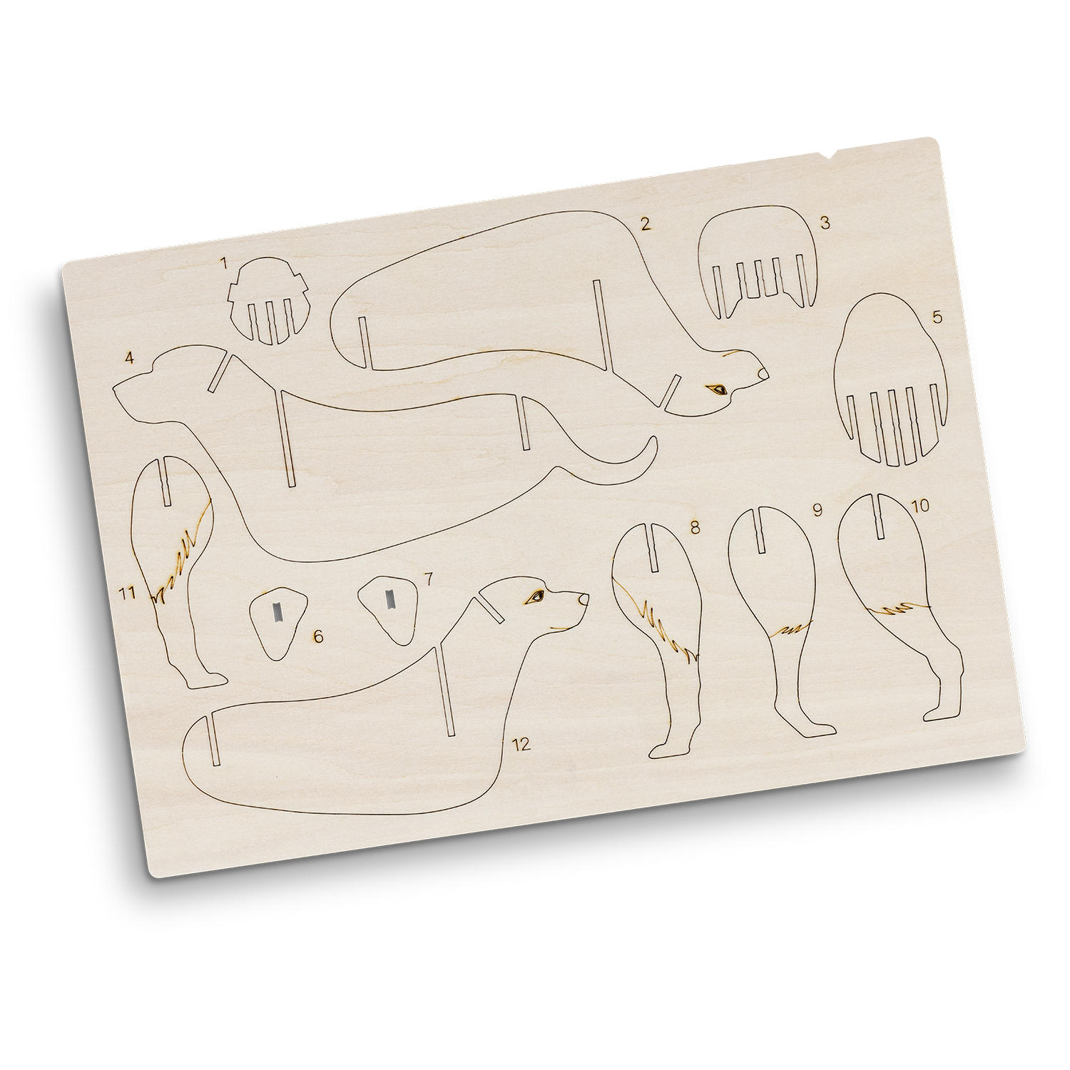 BRANDCRAFT Dog Wooden Model – Image 4