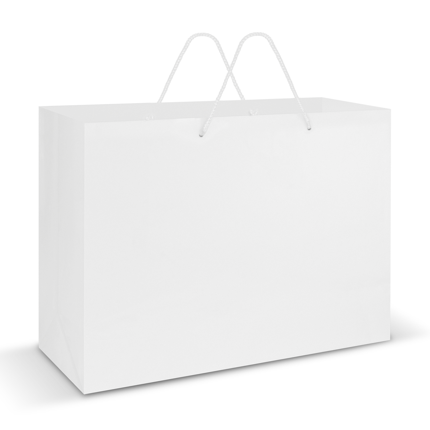 Laminated Carry Bag - Extra Large – Image 2