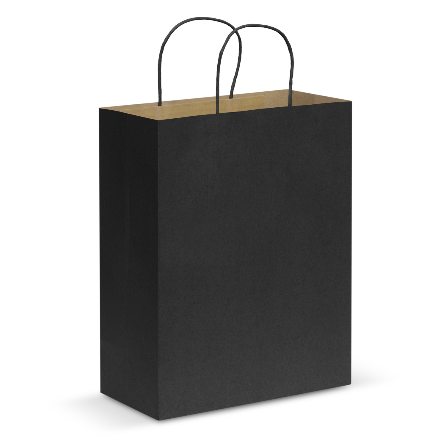 Paper Carry Bag - Large – Image 5