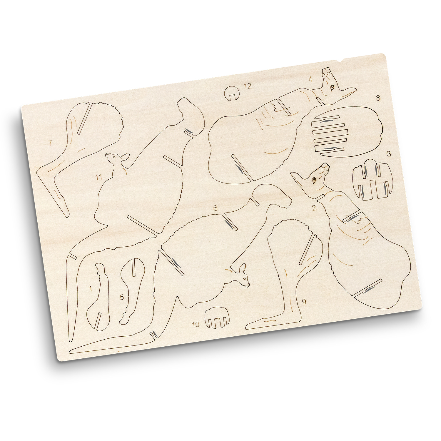 BRANDCRAFT Kangaroo Wooden Model – Image 3