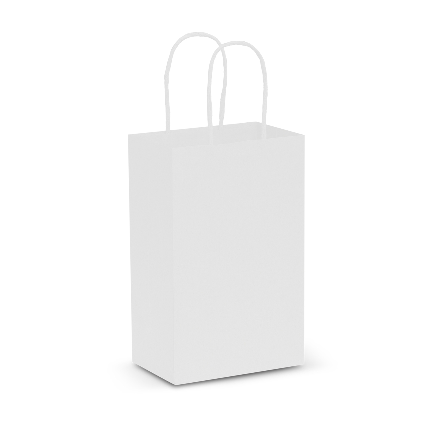Paper Carry Bag - Small – Image 4