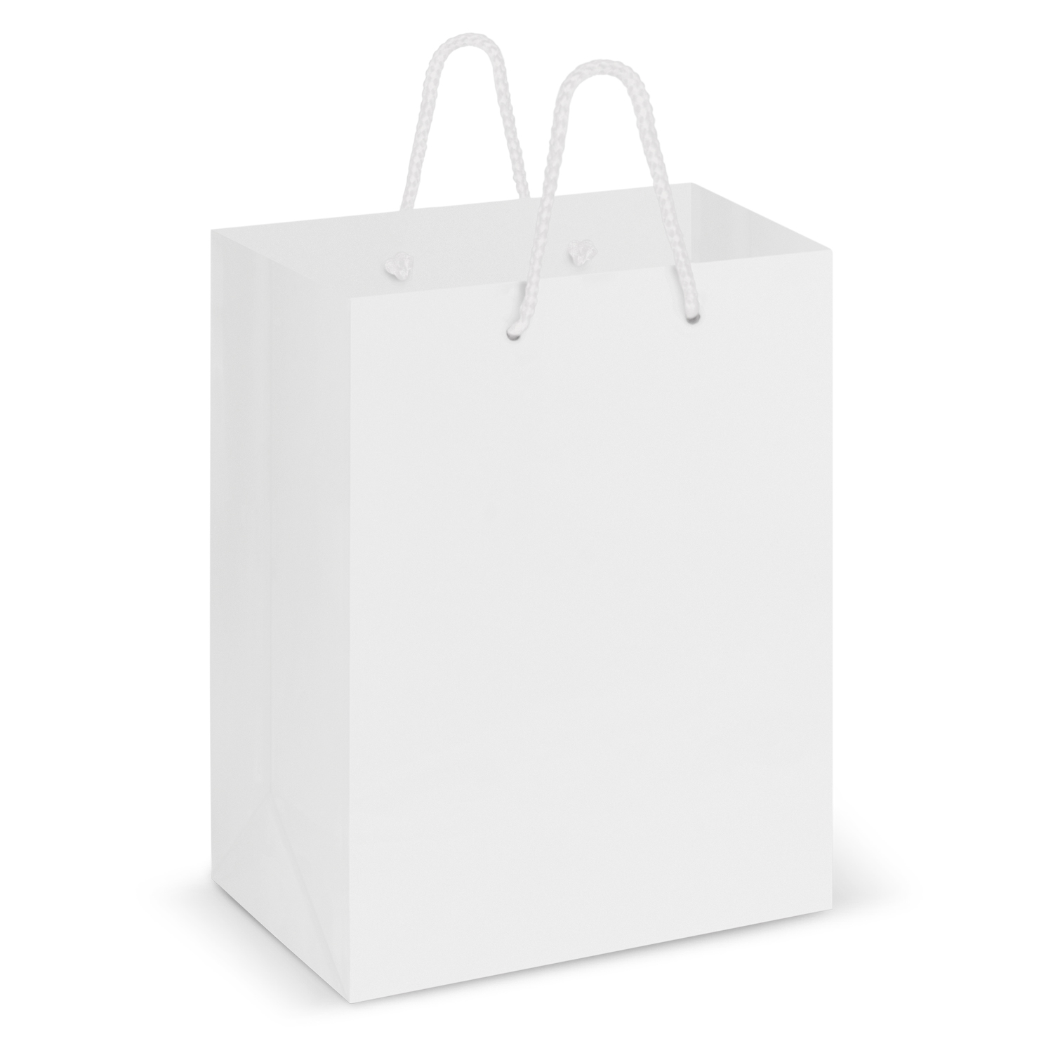 Laminated Carry Bag - Medium – Image 2